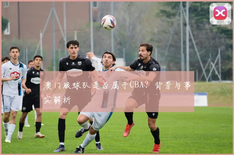 澳门狼球队是否属于CBA？背景与事实解析