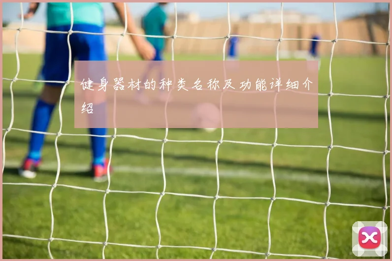 健身器材的种类名称及功能详细介绍