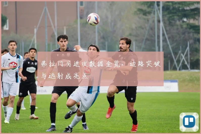 弗拉门戈进攻数据全览，边路突破与远射成亮点