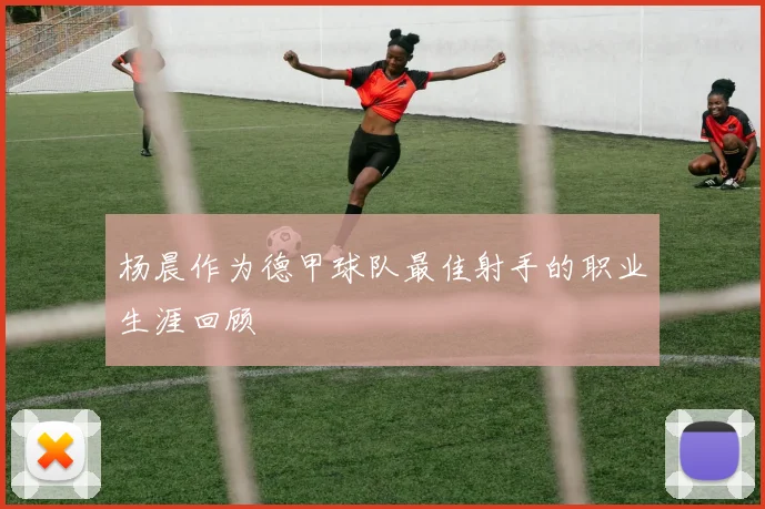 杨晨作为德甲球队最佳射手的职业生涯回顾