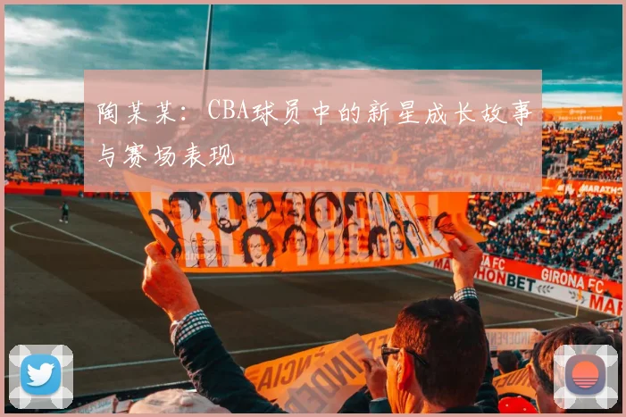 陶某某：CBA球员中的新星成长故事与赛场表现