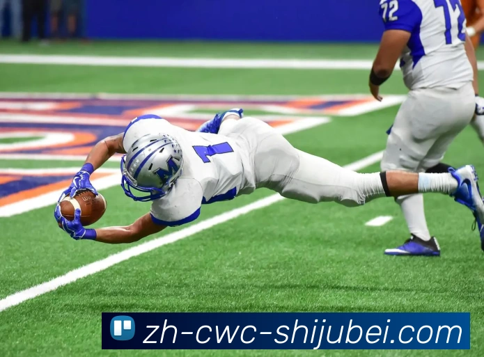 世界杯买球服务体系