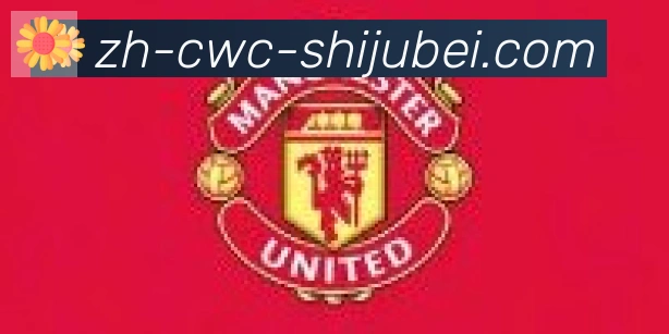 世界杯买球合作伙伴