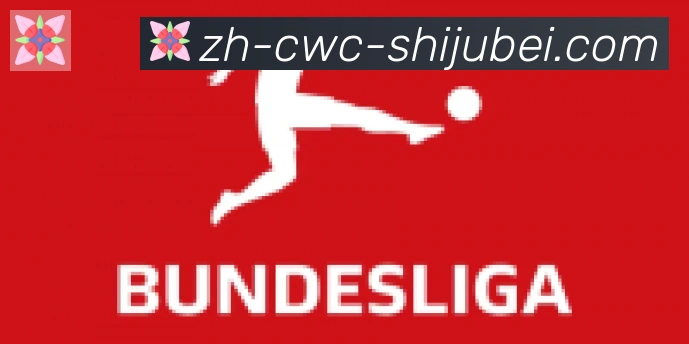 世界杯买球合作伙伴