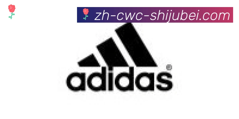 世界杯买球合作伙伴