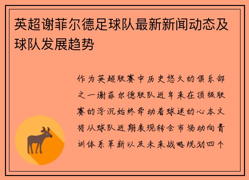 英超谢菲尔德足球队最新新闻动态及球队发展趋势